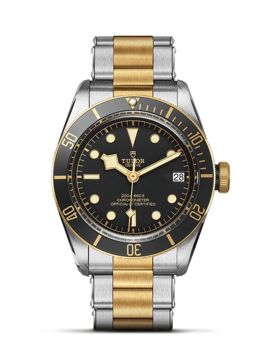 TUDOR BLACK BAY S&G M79733N-0008