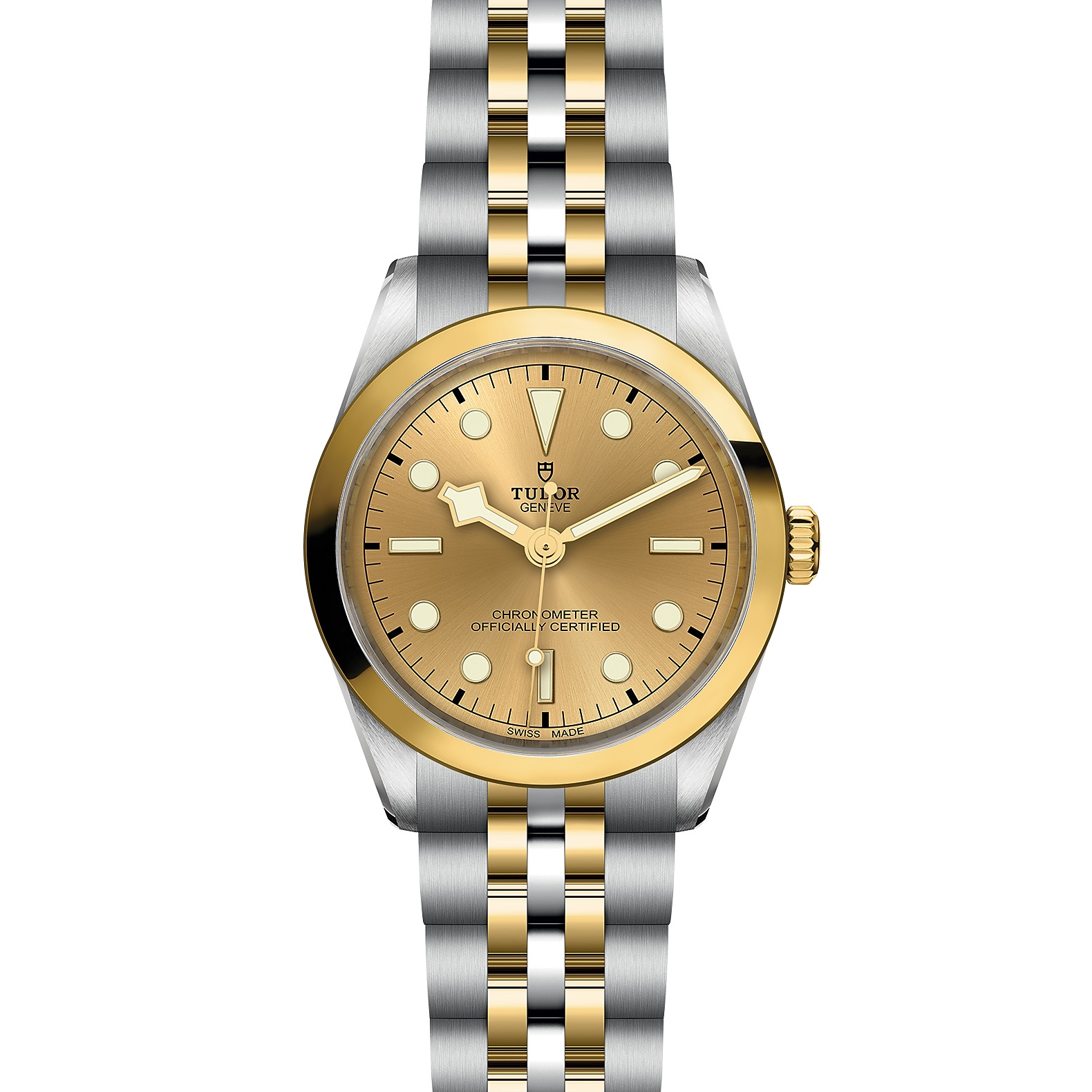 TUDOR Black Bay 36 S&G| M79643-0005