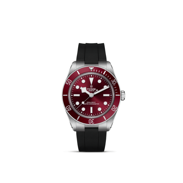 TUDOR Black Bay 58 | M7939A1A0RU-0003